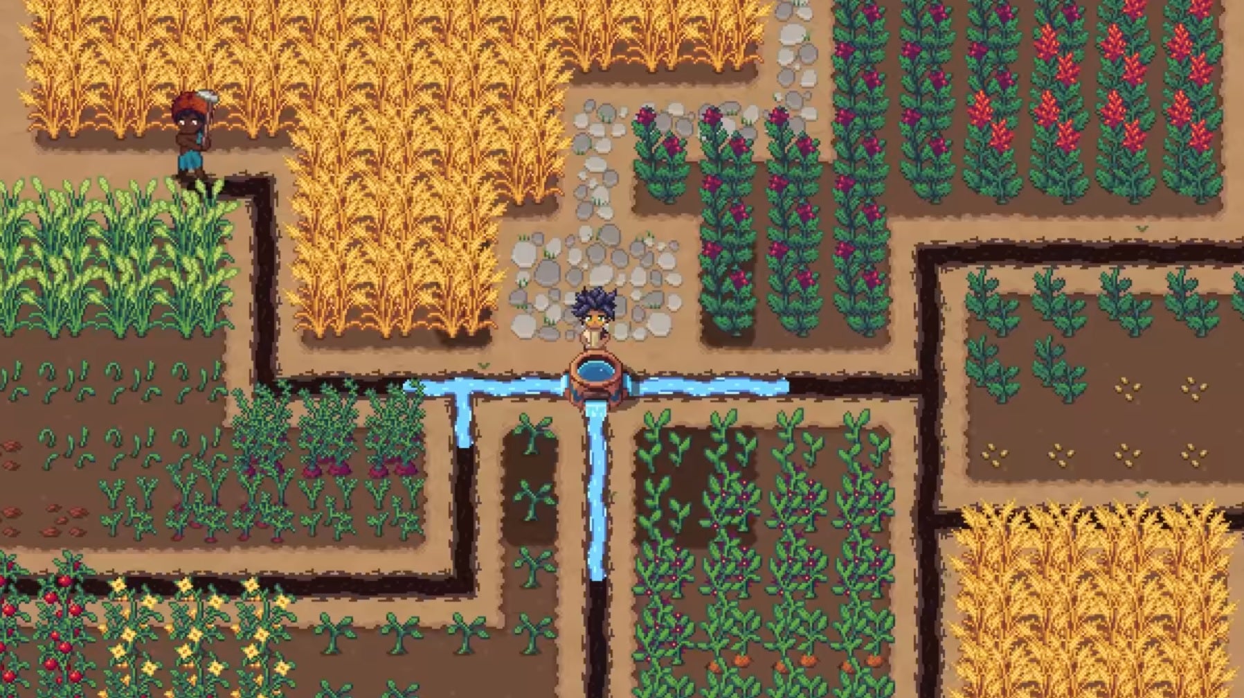 Roots Of Pacha - Two players stand in a field of crops. One is digging an irrigation trench while another fills it with water.